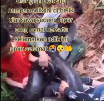 Pendaki hampir mati lemas dibelit ular hitam raksasa.