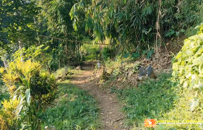 Jalan setapak