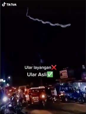 Ular Melilit di Kabel