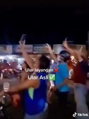 Warga Heboh Melihat Ular