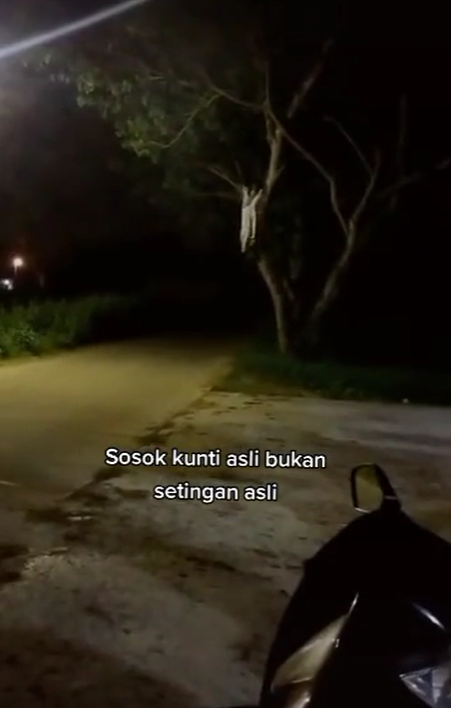Video Kuntilanak Bergantung di Pohon