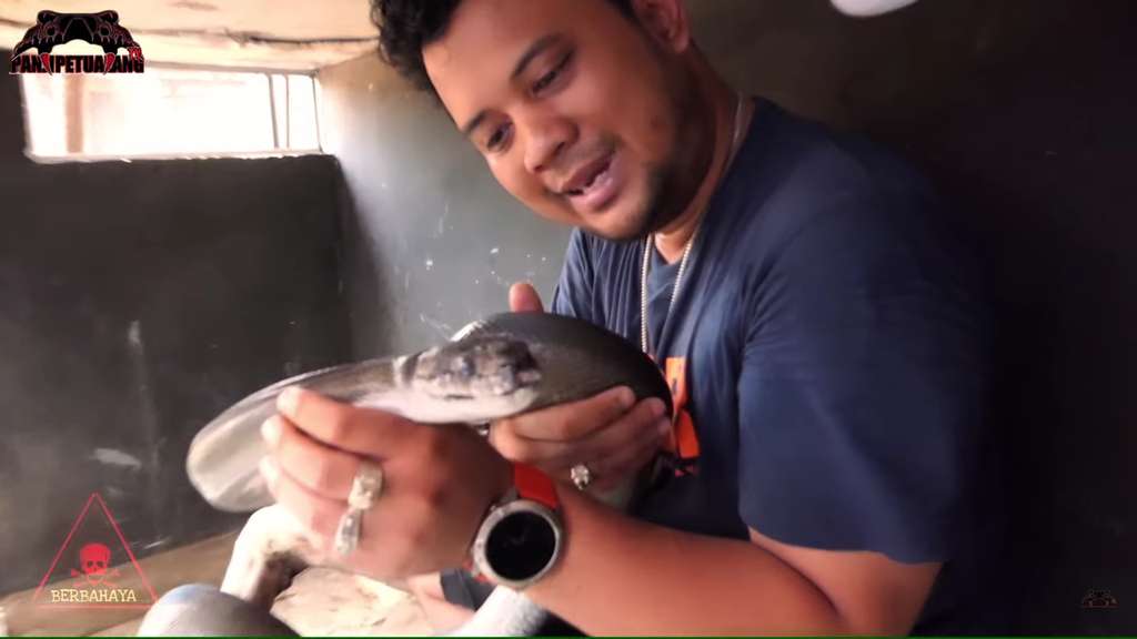 Panji Petualang