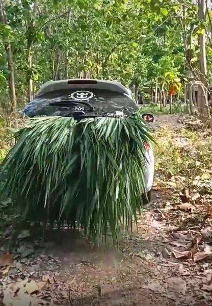 Tak mau capek, brio satya dipakai cari rumput.