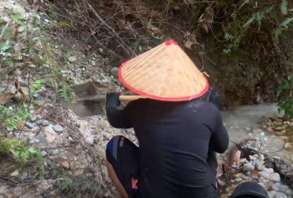 Viral, mendulang di pinggir sungai temukan emas banyak.