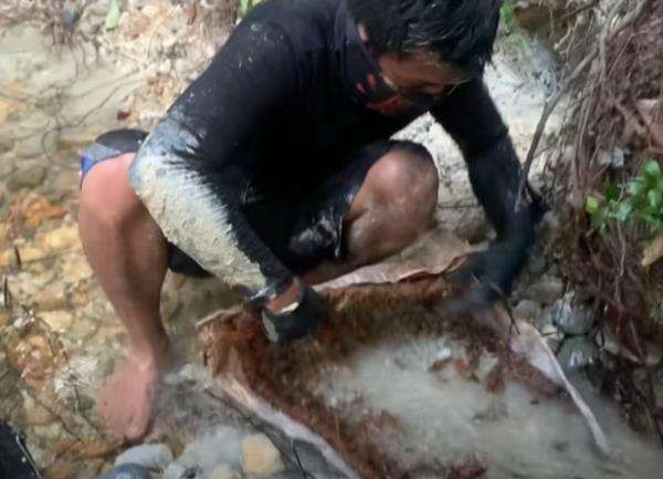 Viral, mendulang di pinggir sungai temukan emas banyak.