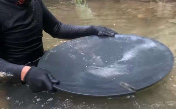 Viral, mendulang di pinggir sungai temukan emas banyak.