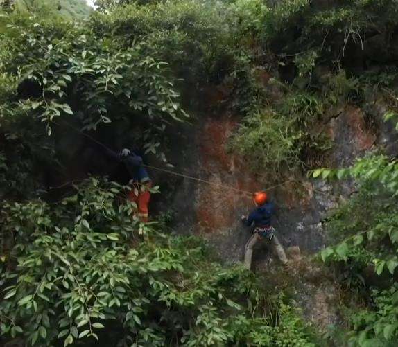 Viral penemuan tanaman langka dikira punah ratusan tahun lalu.