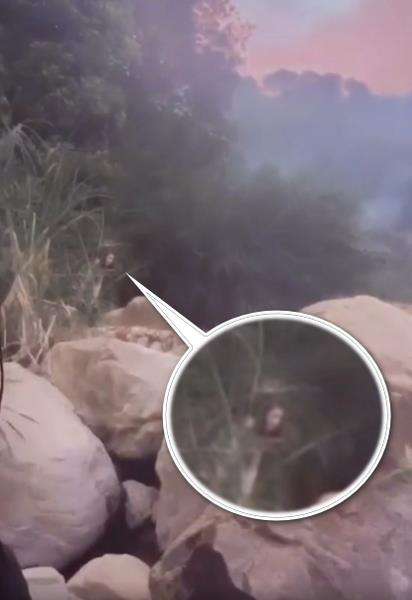 Ngeri, asyik mandi di sungai, tak sengaja rekam sosok seram lagi ngintip.