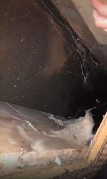 Ngeri, menginap di motel temukan ruang rahasia di bawah karpet tempat tidur.