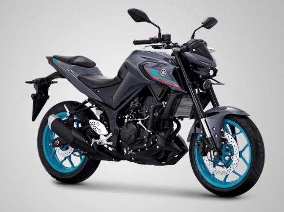 Yamaha MT-25 Metallic Dark Grey