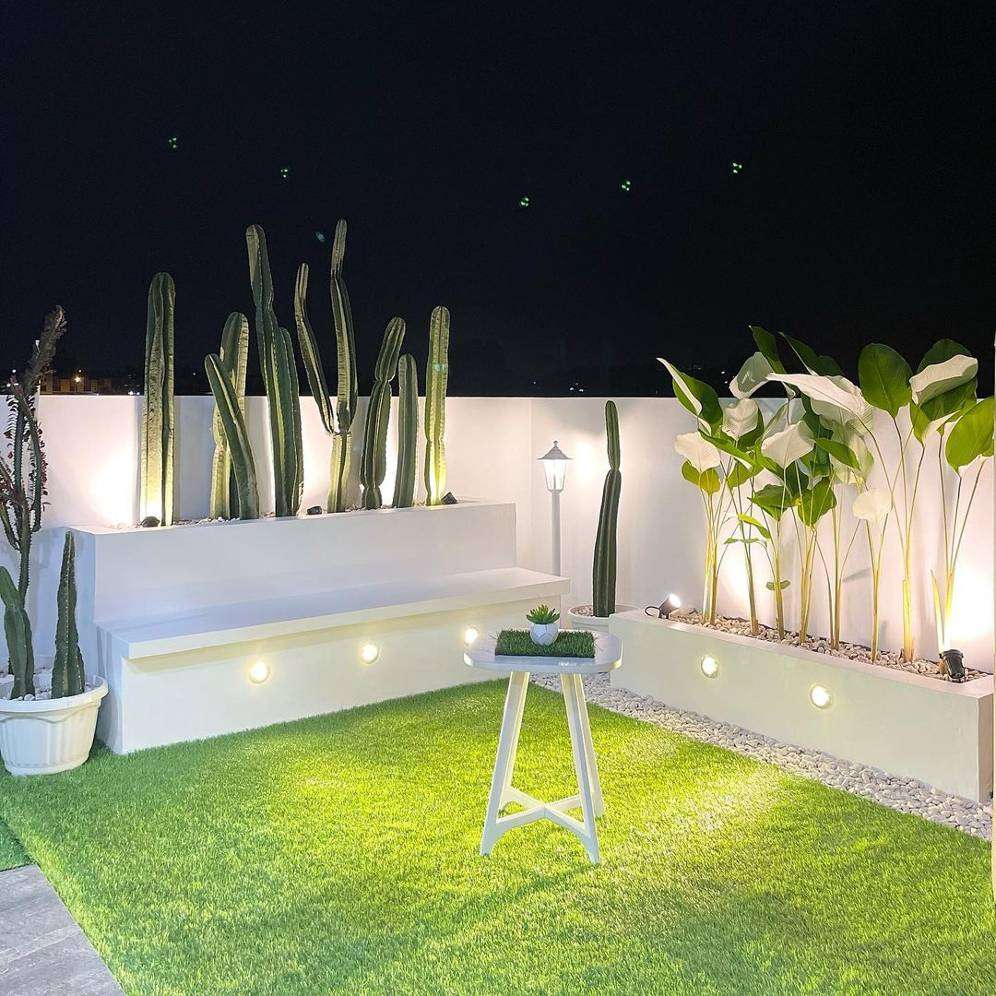 Rooftop taman kering