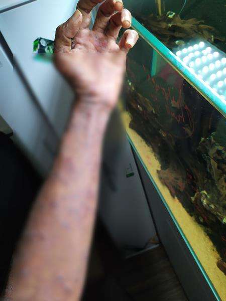 Gara-gara driftwood, pria ini alami kejadian aneh.