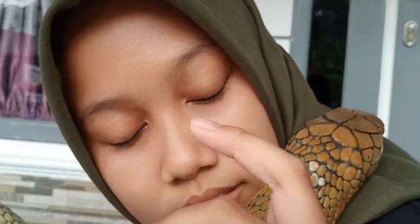 Gadis berjilbab peluk dan cium king kobra kayak sama kucingnya