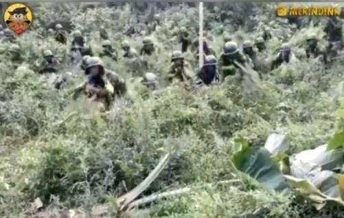 Viral, kemampuan kamuflase prajurit TNI yang luar biasa.