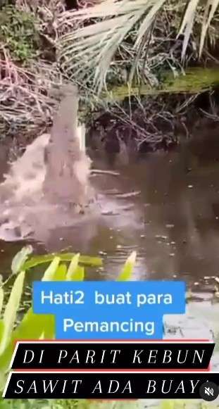 mancing di parit