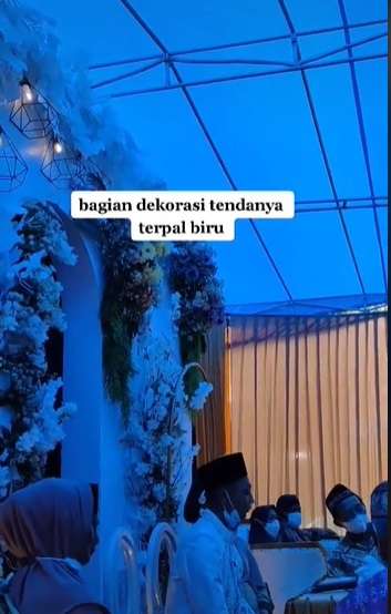 Video Viral