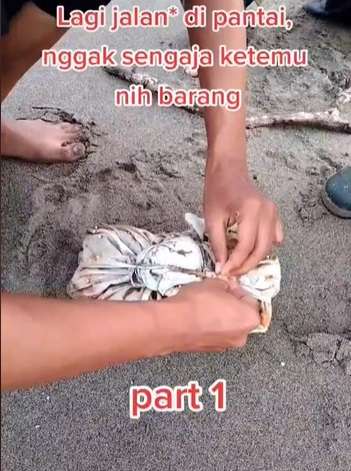 Video Viral