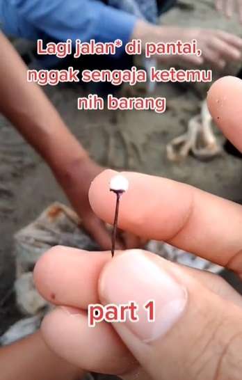 Video Viral