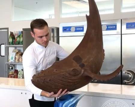 Chef Amaury Chef Amaury