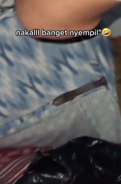 Mau tidur ada sesuatu mengganjal, pas dicek...