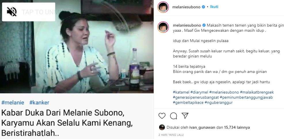 melanie subono melanie subono