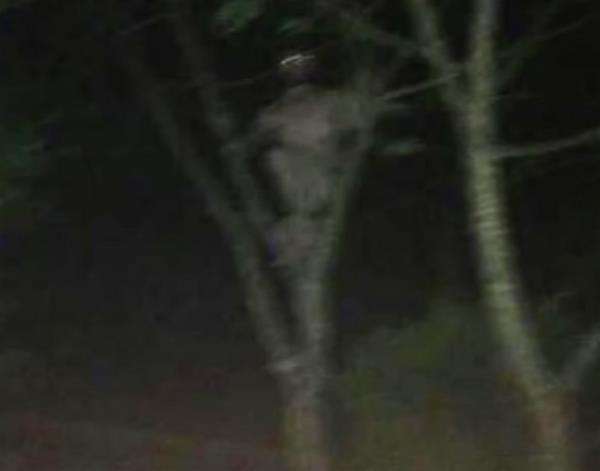 Viral penampakan makhluk aneh di luar tenda jam 3 pagi.