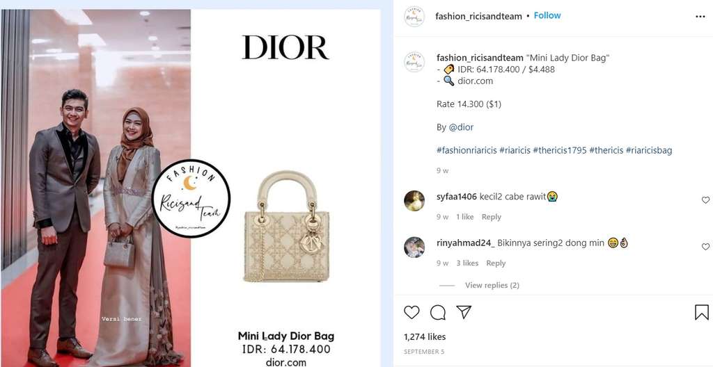 Tas Dior Ricis