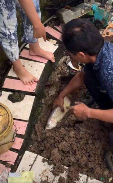 17 Tahun Dipelihara, Pemilik Nangis Pas Tahu Ikan Arwana Kesayangannya Mati
