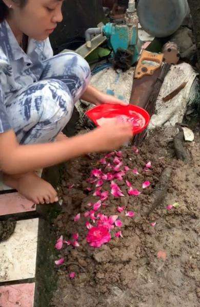 17 Tahun Dipelihara, Pemilik Nangis Pas Tahu Ikan Arwana Kesayangannya Mati
