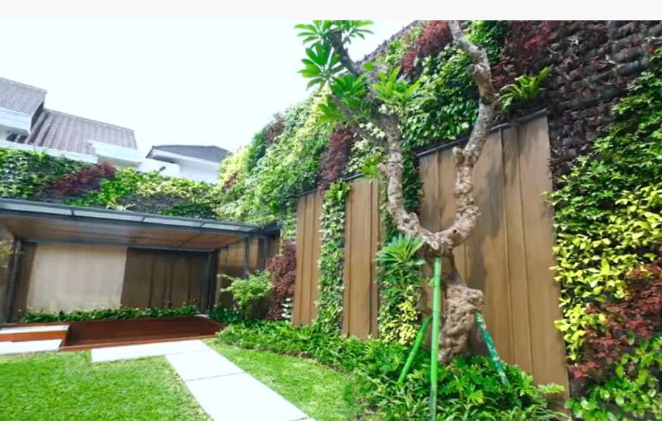 Verical garden Titi dan Tian