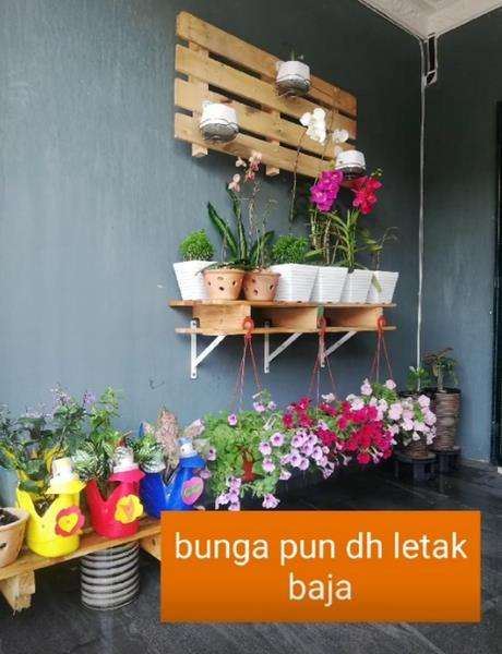 Dua tahun ditinggalkan karena terjebak di luar negeri, rumah jadi rumah hantu.