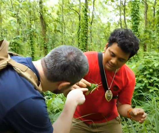 Panji Petualang temukan belalang daun yang unik saat lakukan penelusuran di hutan.