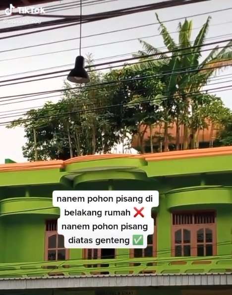 rumah dengan pohon pisang