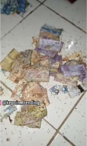 Video Viral