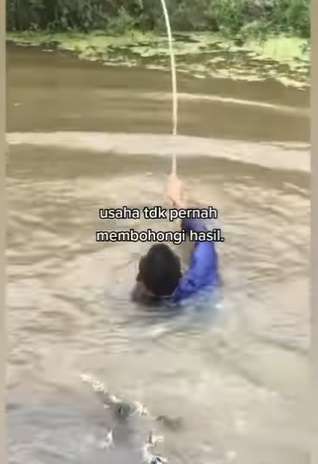 Video Viral