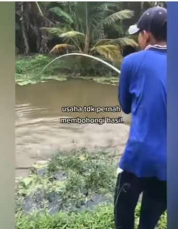 Video Viral