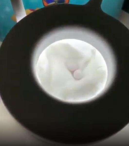 Temukan telur aneh di sofa, wanita kaget saat ditetaskan.