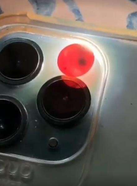Temukan telur aneh di sofa, wanita kaget saat ditetaskan.