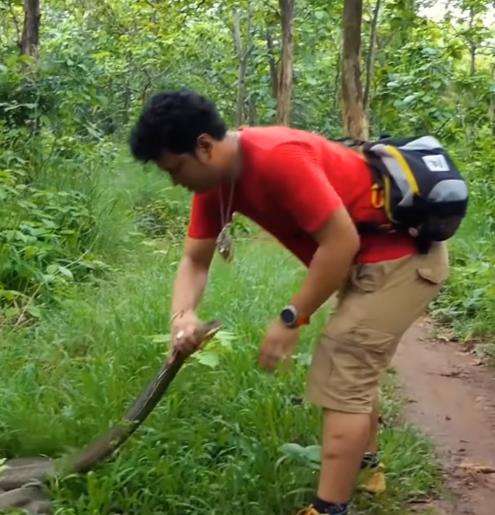 King kobra hitam hadang Panji Petualang di tengah hutan.