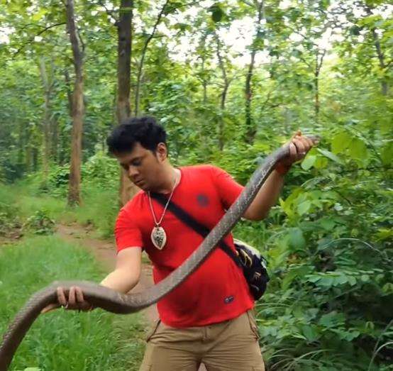 King kobra hitam hadang Panji Petualang di tengah hutan.