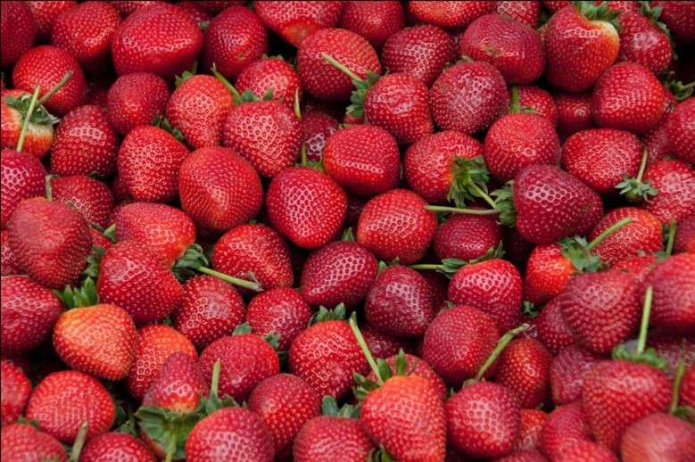 Strawberry