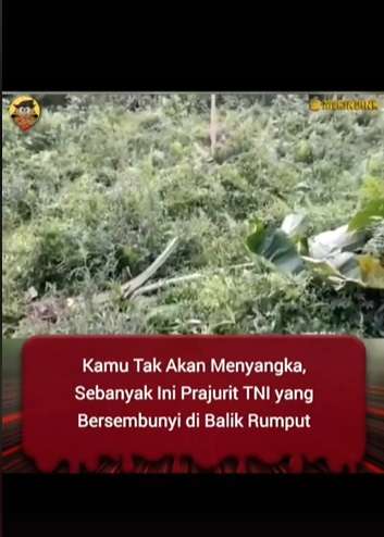 Video Viral