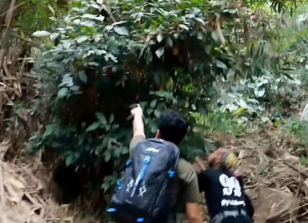 Penelusuran Panji Petualang di lereng Gunung Kareumbi