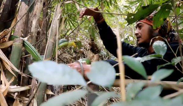 Penelusuran Panji Petualang di lereng Gunung Kareumbi