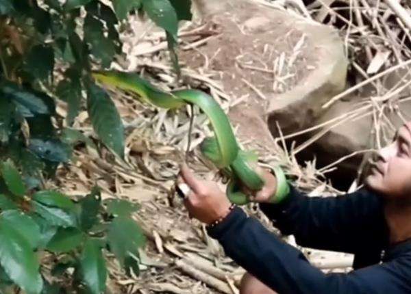 Penelusuran Panji Petualang di lereng Gunung Kareumbi