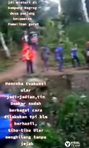 Video Viral