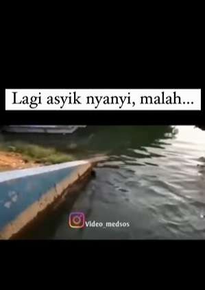 Video Viral