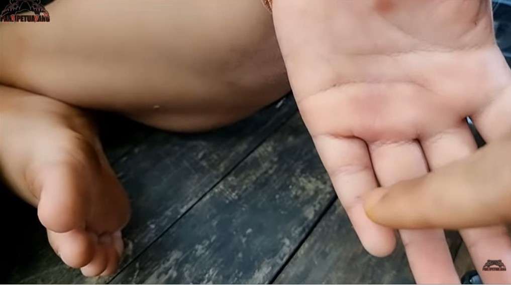 Anak Panji Petualang Digigit Kobra