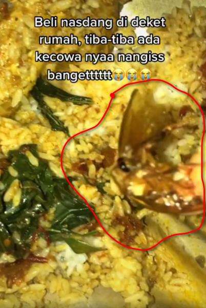 Pengalaman pahit beli Nasi Padang, dapat bonus tak terduga.