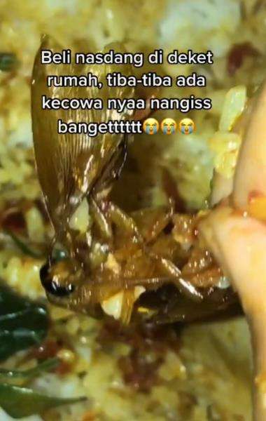 Pengalaman pahit beli Nasi Padang, dapat bonus tak terduga.